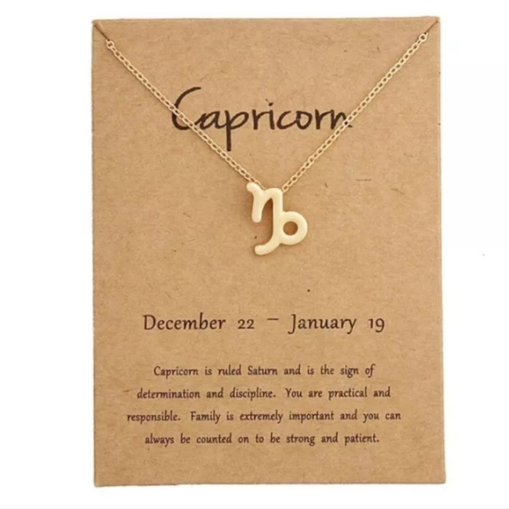 ♑️ NWT CAPRICORN Zodiac Necklace ♑️